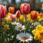 spring-captions
