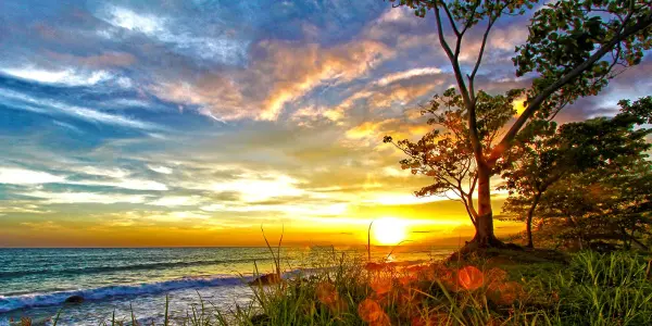 Sunset And Nature Captions