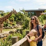 Family enjoying a day at the zoo