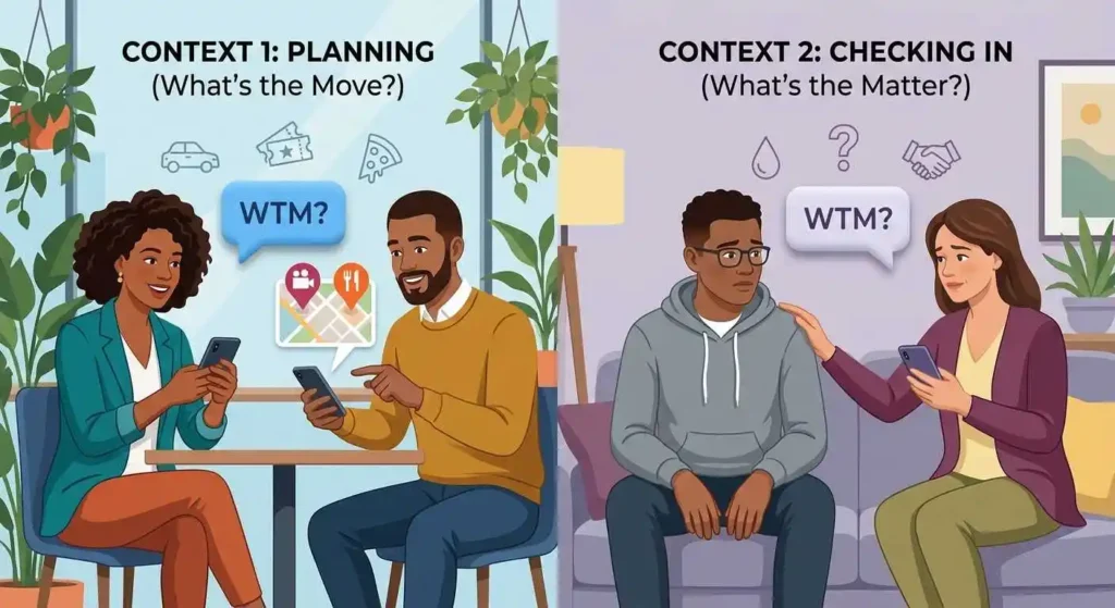 Two conversations showing WTM used for plans and for checking if something is wrong